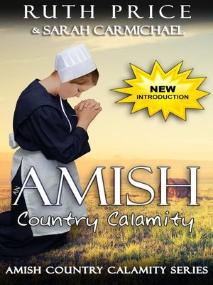 An Amish Country Calamity - ebook